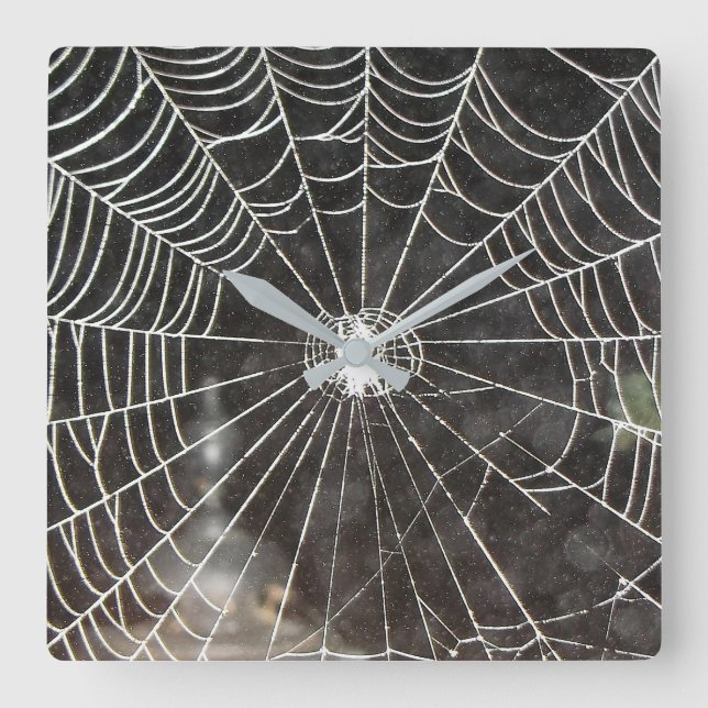 Horloge Carrée Arachnologie de l'horloge Web Spider (Recto)