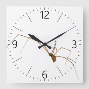 Horloge Carrée Araignée