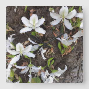 Horloge Carrée Arbre