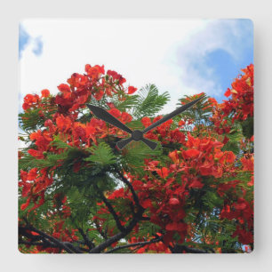 Horloge Carrée Arbre fleurissant royal hawaïen de Poinciana