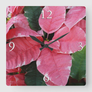 Horloge Carrée Argent Star Marbre Poinsettias Pink Holiday Floral