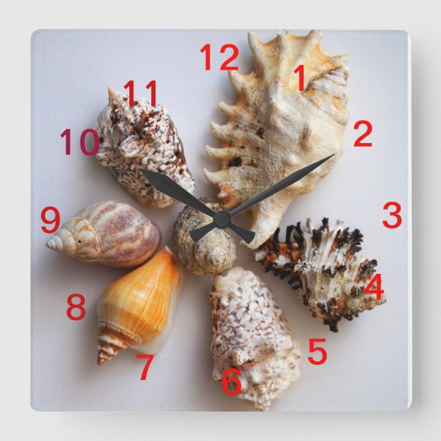 Horloge Carrée Arrangement de Seashell (Recto)