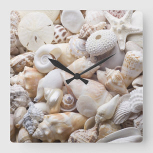 Horloge Carrée Arrière - plan de Shell de mer de la Floride - la