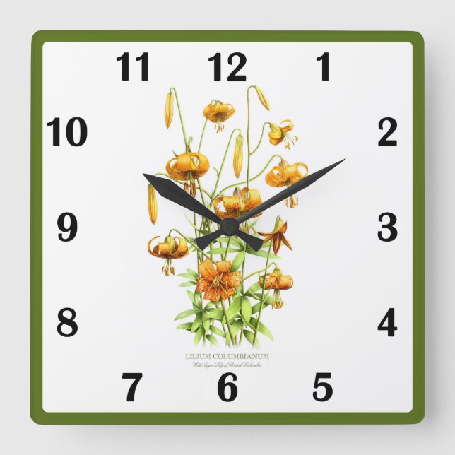 Horloge Carrée Art botanique Fleur de Tigre Sauvage (Recto)