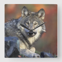 Art de Wolf Lovers