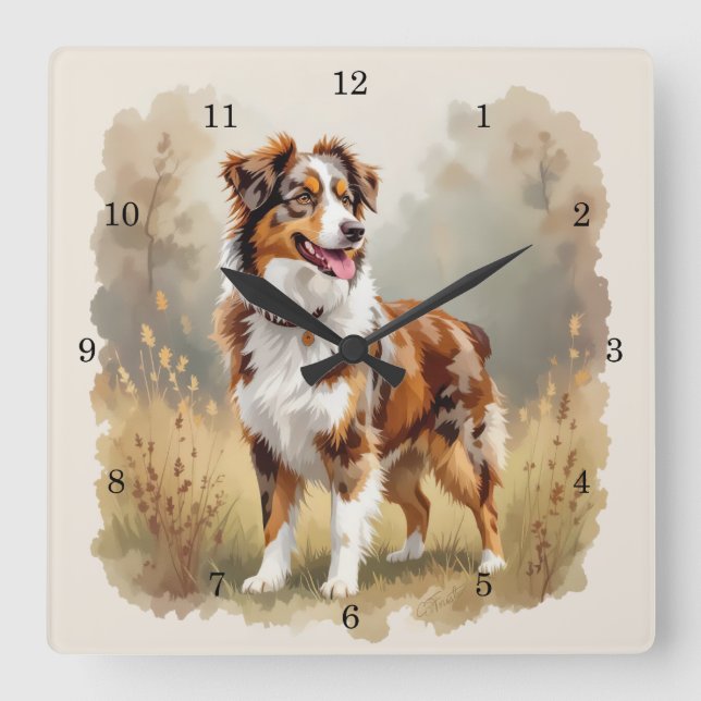 Horloge Carrée Australian Shepherd Dog Red Merle Aussie (Recto)