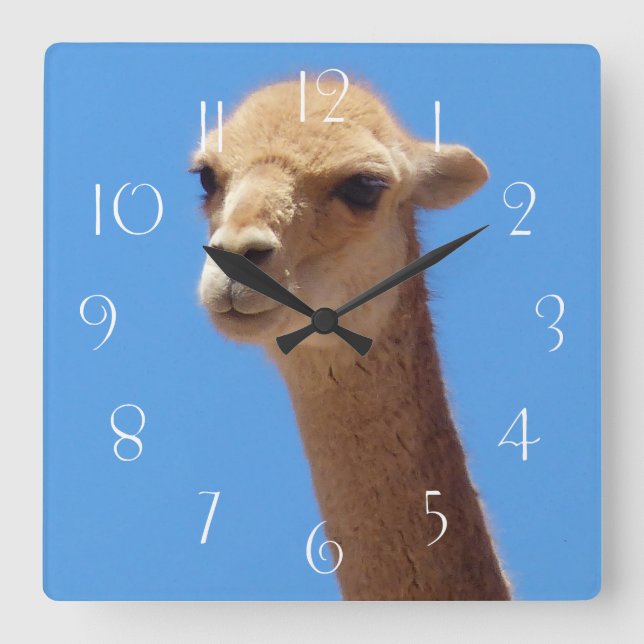 Horloge Carrée Autoportrait de Vicuña sur arrière - plan bleu (Recto)