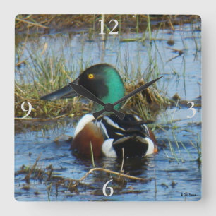 Horloge Carrée B25 Canard souchet Cuillère
