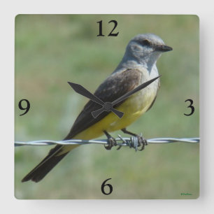 Horloge Carrée B44 Kingbird occidental