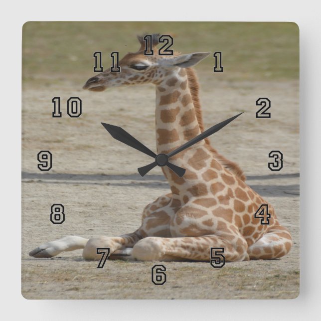 Horloge Carrée Baby Giraffe (Recto)
