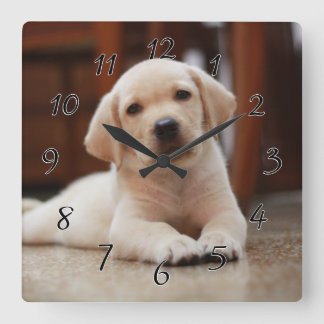 Horloge Carrée Baby Jaune Labrador Chien chiot pondu sur le ventr