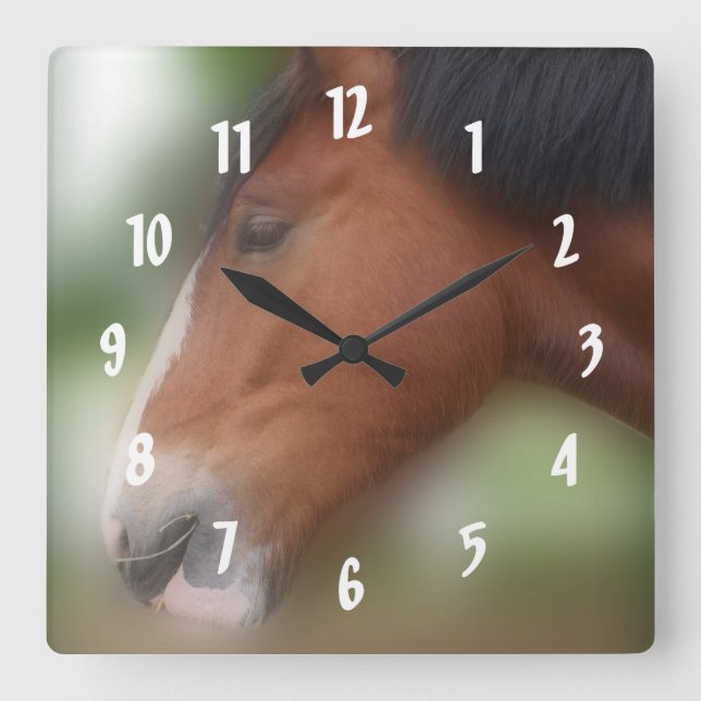 Horloge Carrée Baie Shift Cheval Visage Animal (Recto)