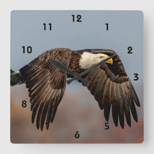 Horloge Carrée Bald Eagle en vol