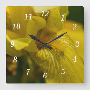 Horloge Carrée Barbe de fer jaune