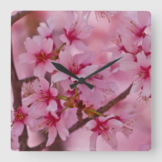 Horloge Carrée Bathed in Pink Japanese Cherry (Recto)