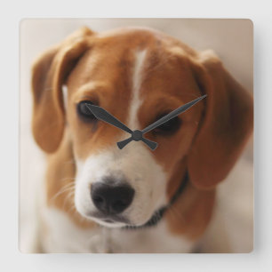 Horloge Carrée Beagle chiot 2