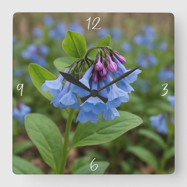 Horloge Carrée Beau Bluebells Virginia (Recto)
