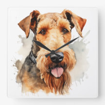 BEAU COULEUR D'EAU BROWN AIREDALE TERRIER CHIEN