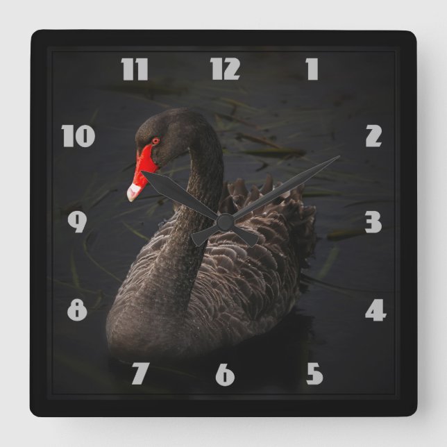 Horloge Carrée Beau cygne noir avec un bec rouge vif (Recto)