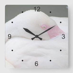 Horloge Carrée Beau Flamant rose blanc