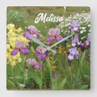 Beau Jardin fleuri pourpre Iris Irises