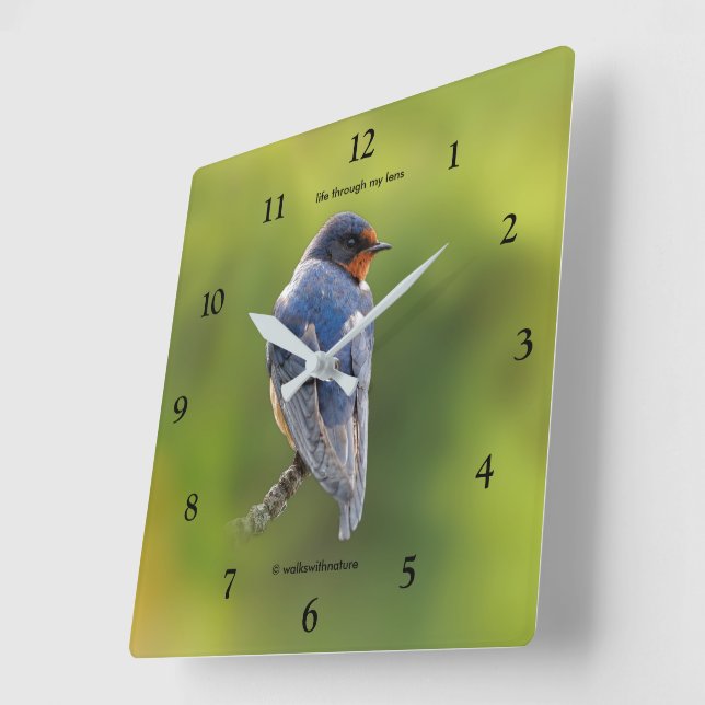 Horloge Carrée Beau oiseau-chanteur d'hirondelle de grange en bra (Angle)