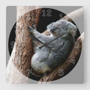 Horloge Carrée Belle ours Koala dans un arbre