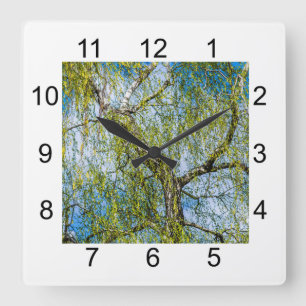 Horloge Carrée Birch tree - Le printemps est dans l'air
