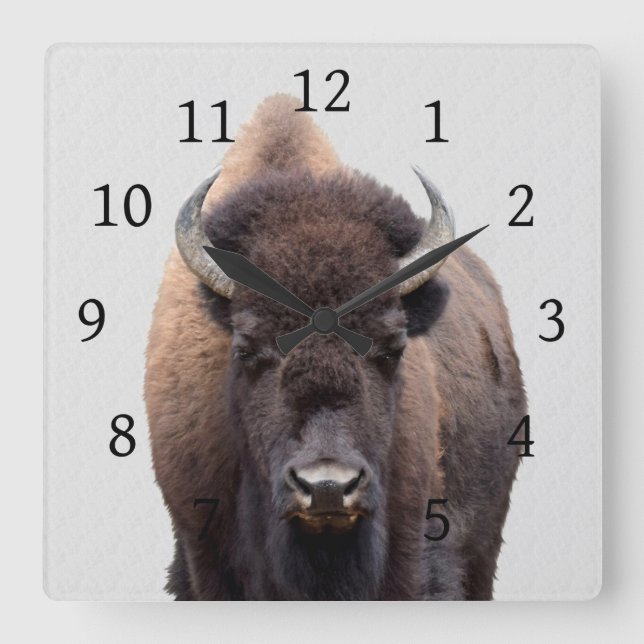 Horloge Carrée Bison Buffalo Photo 135 (Recto)