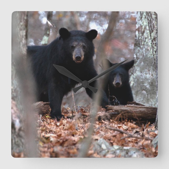 Horloge Carrée Black Bear and Cub Clock (Recto)