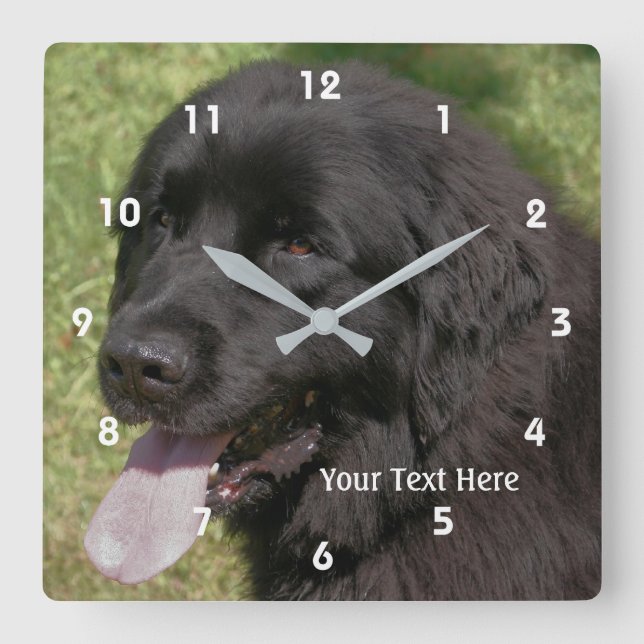Horloge Carrée Black Newfoundland (Recto)