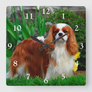 Horloge Carrée Blenheim Cavalier King Charles Spaniel Chien