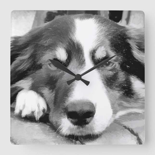 HORLOGE CARRÉE BORDER COLLIE (Recto)