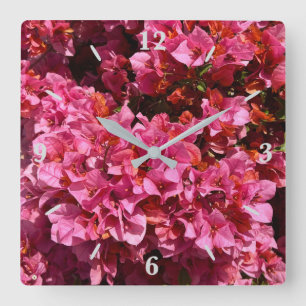 Horloge Carrée Bougainvillea Arbuste de vinification rose tropica