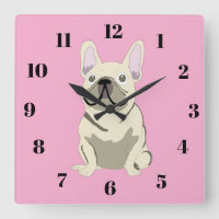 Bouledogue Français crème
