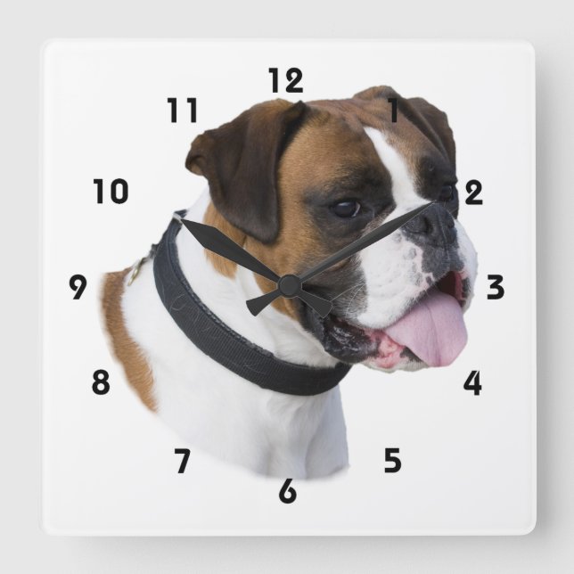 Horloge Carrée Boxer dog portrait (Recto)
