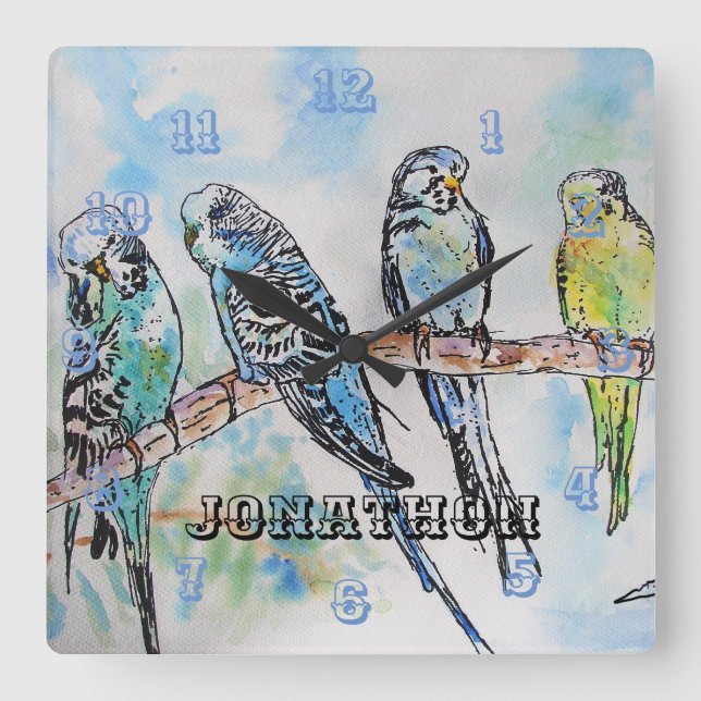 Horloge Carrée Budgies Budgie Budgerigar Bird Nom des hommes (Recto)