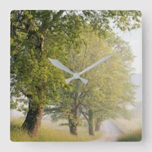 Horloge Carrée Cades Cove Grandes Montagnes fumées, TN