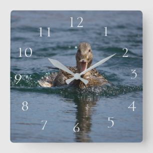 Horloge Carrée Canard avec bec ouvert