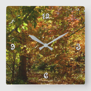 Horloge Carrée Canopée des Feuilles d'automne II Photographie d'a