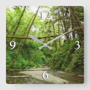Horloge Carrée Canyon Fern I au Parc national de Redwood