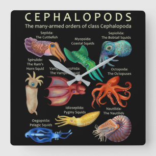 Horloge Carrée Céphalopodes poulpes calamars