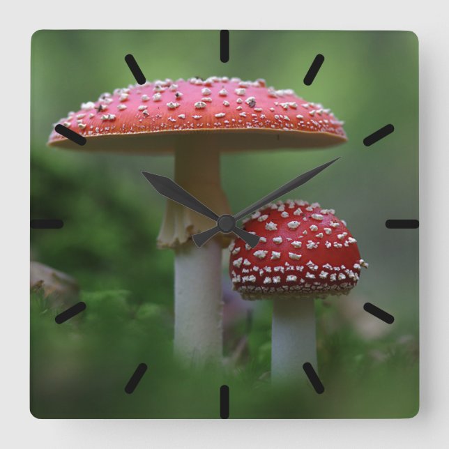 Horloge Carrée Champignons magiques (Recto)