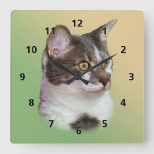 Horloge Carrée Chat aux yeux dorés
