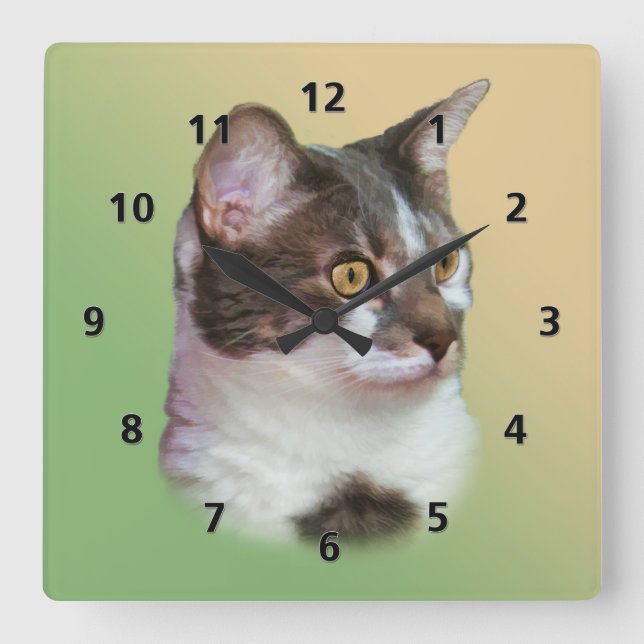 Horloge Carrée Chat aux yeux dorés (Recto)