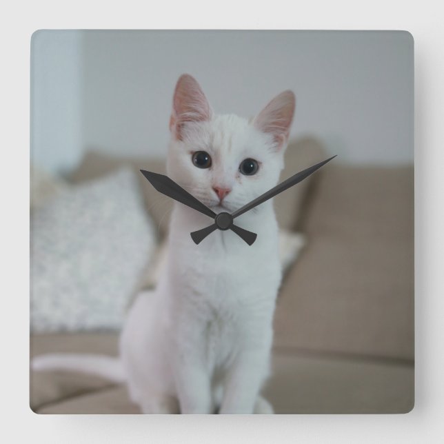 Horloge Carrée chat blanc | Zazzle_Growshop. (Recto)