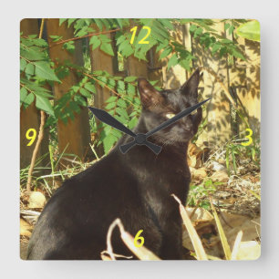 Horloge Carrée Chat noir dans l'horloge murale de Sun de matin