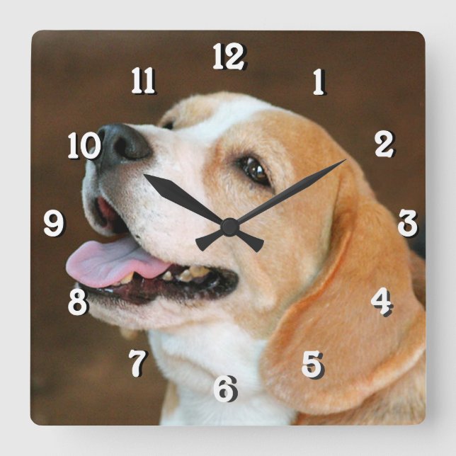 Horloge Carrée Chien beagle (Recto)