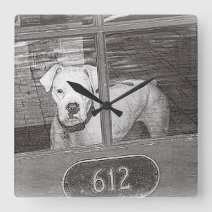 Horloge Carrée Chien blanc derrière la porte, noir et blanc