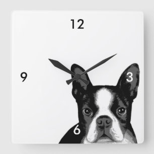 Horloge Carrée Chien de Boston Terrier